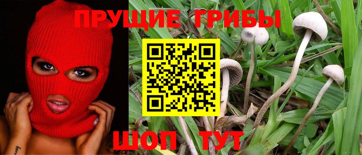 Галлюциногенные грибы Cubensis Дюртюли