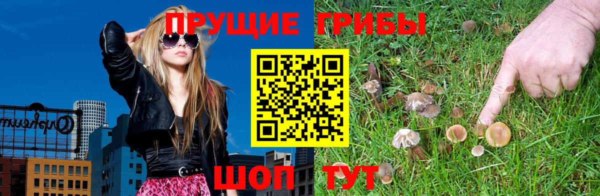 Галлюциногенные грибы Psilocybe  Вход с VPN  Дюртюли  Галлюциногенные грибы ЛСД 